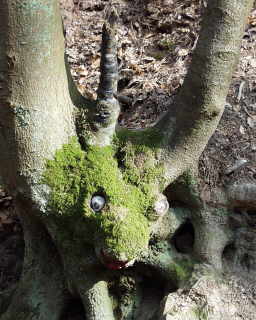 Steckeschlääfer-Klamm
