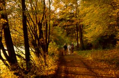 Wanderweg